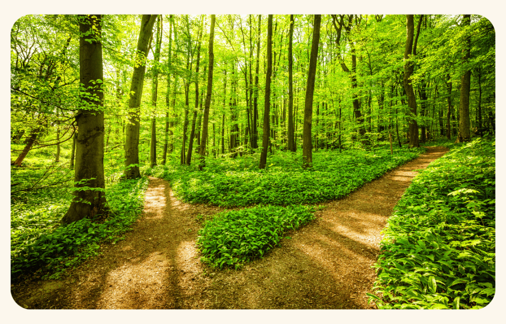 VertLeFutur-Foret